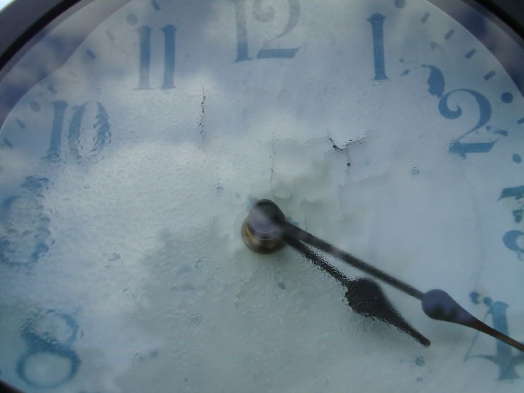 time clock photo: Time porchflowers022.jpg