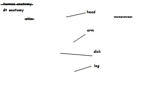 [image loading]
