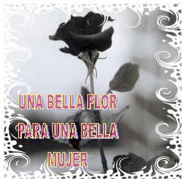 86.jpg picture by LA_VIDA_ES_BELLA_12