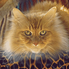 photo v3_zps2hsdf1dw.gif