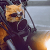 photo v4_zpsbdx8dxyr.gif