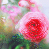 photo v8_zpsy4qyumu2.gif