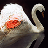 photo v9_zpsdvaihhob.gif