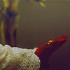 photo ypope5_zpszurvgxyb.gif