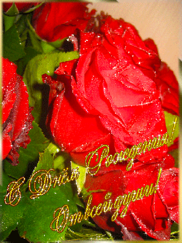 photo 369746789_zps01bf22d1.gif