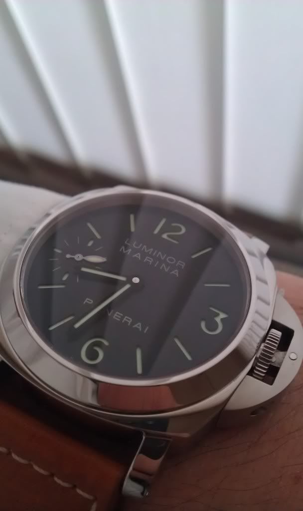IMAG0651.jpg