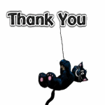 thank you photo: Thank you thank-you-black-cat-ag11_zps3ac564e1.gif