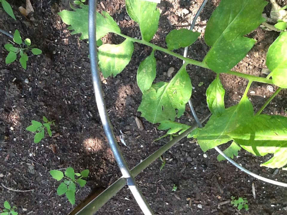 Photobucket Pictures, Images and Photos