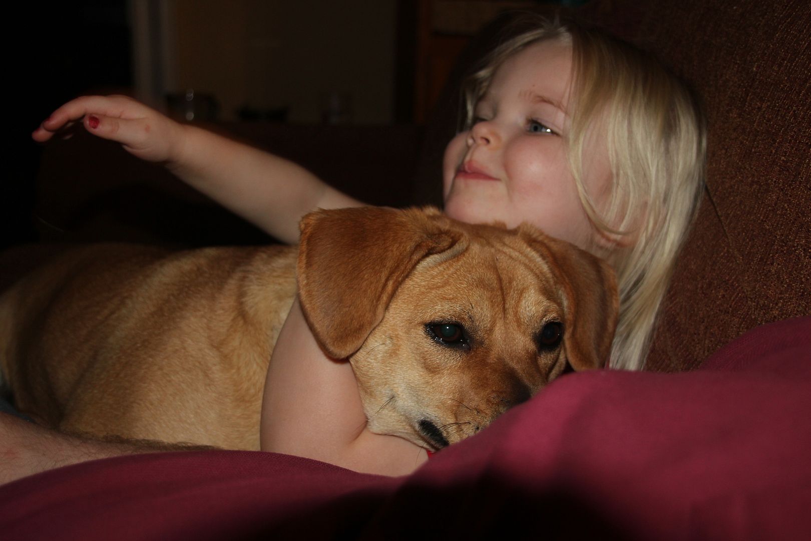 IMG_0196_zps62d9f32f.jpg