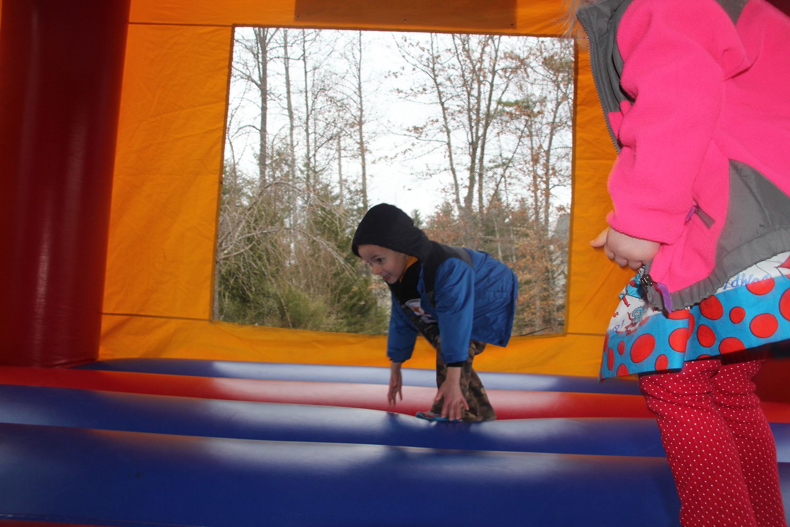 photo IMG_0237_zps7f4fb331.jpg