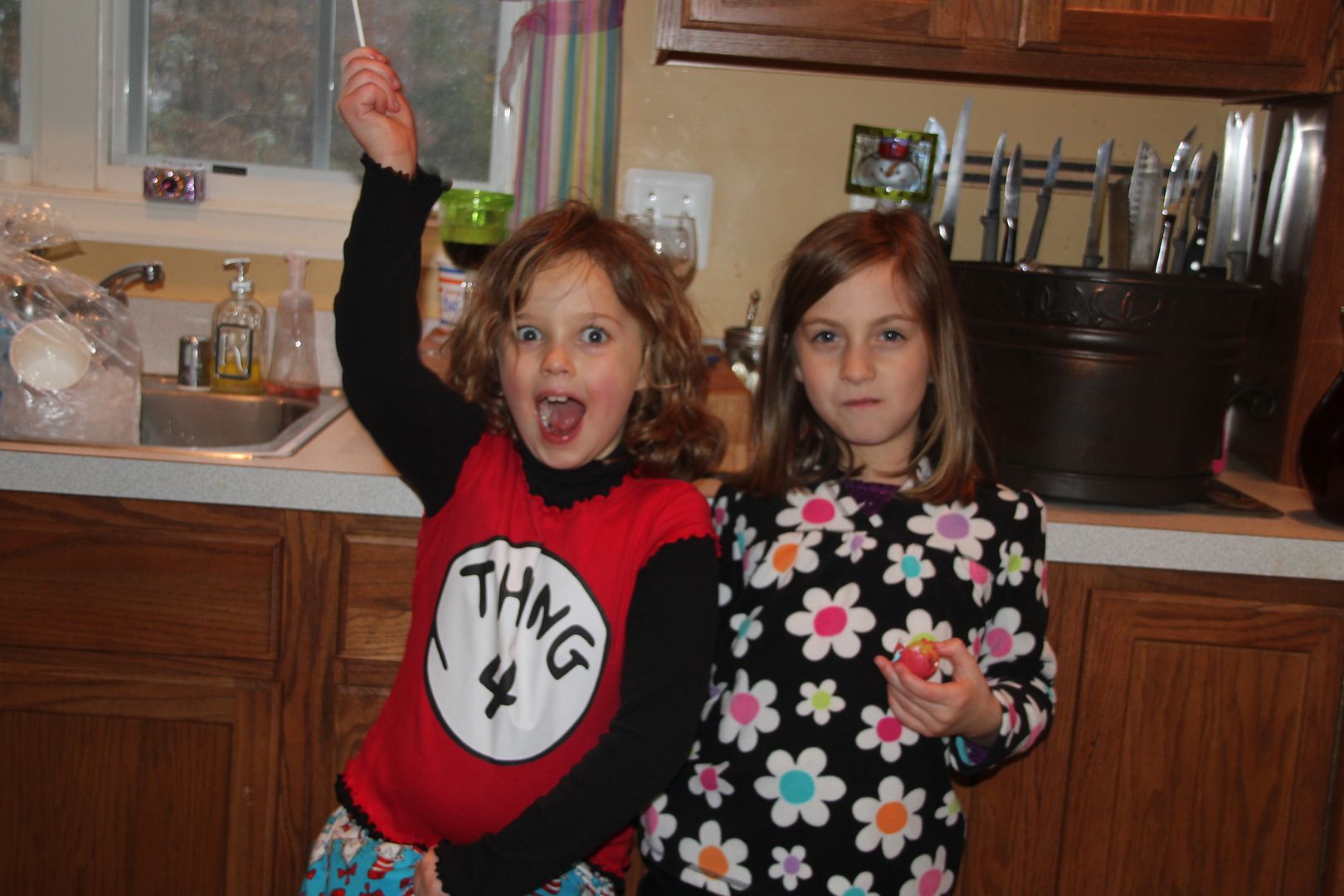 photo IMG_0268_zps73e152cd.jpg