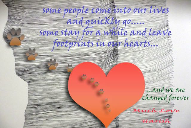 friendship Pictures, Images and Photos