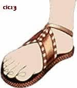 zapato