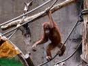 imagenes imagenes
