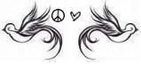 peace birds Pictures, Images and Photos