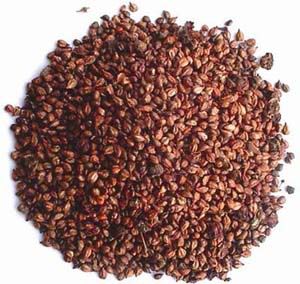 Grape Seed