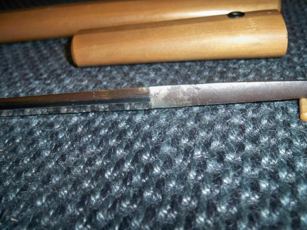 100_2707.jpg?t=1266073224