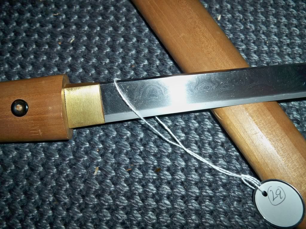 100_4304.jpg?t=1266073033