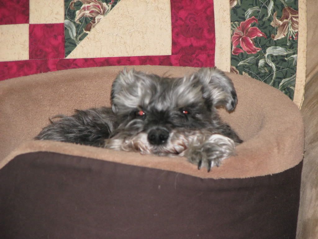 PowershotPictures012.jpg