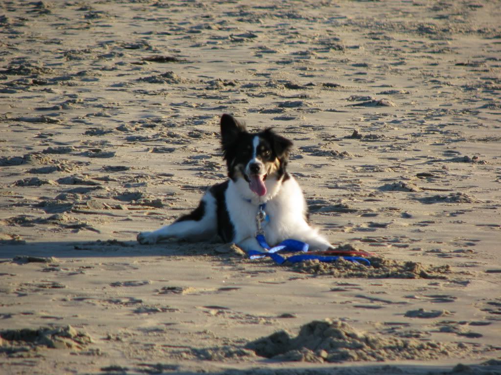 PowershotPictures018.jpg