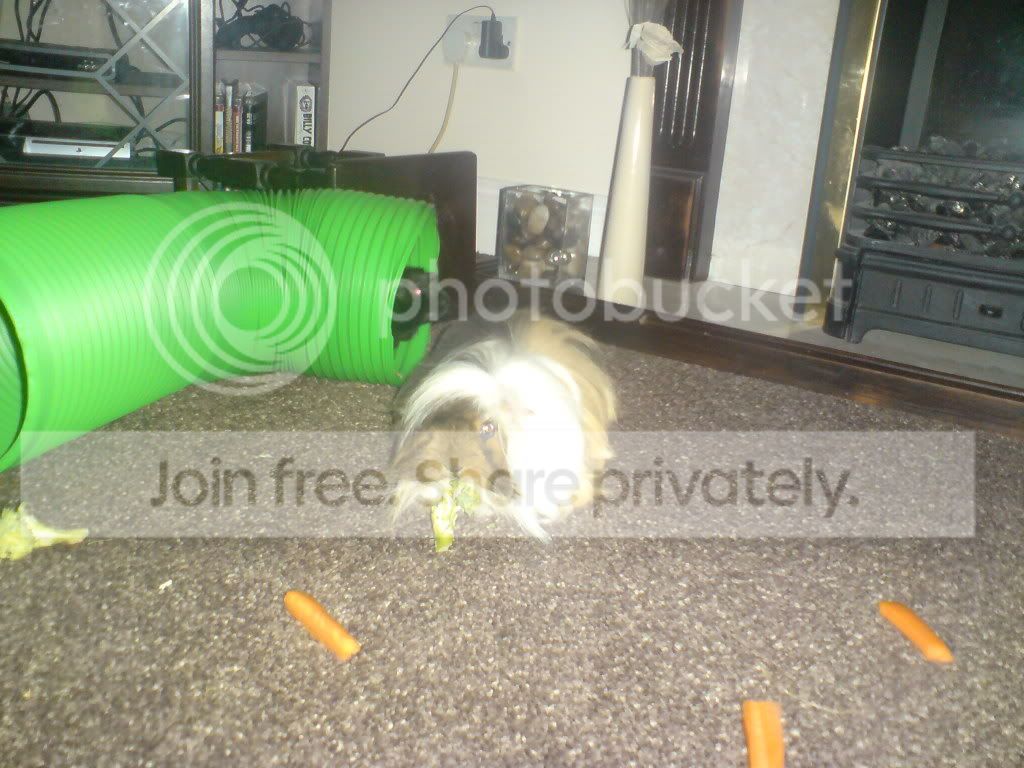 DSC00063.jpg
